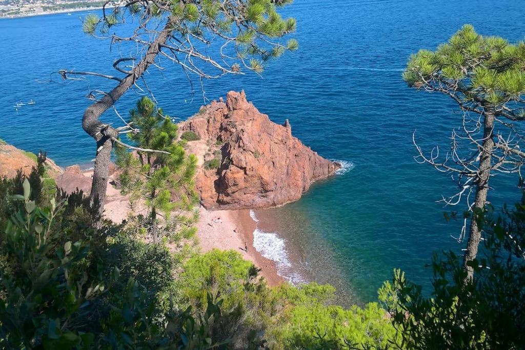 2 Pieces Climatise A 200M Des Plages Théoule-sur-Mer Exteriör bild