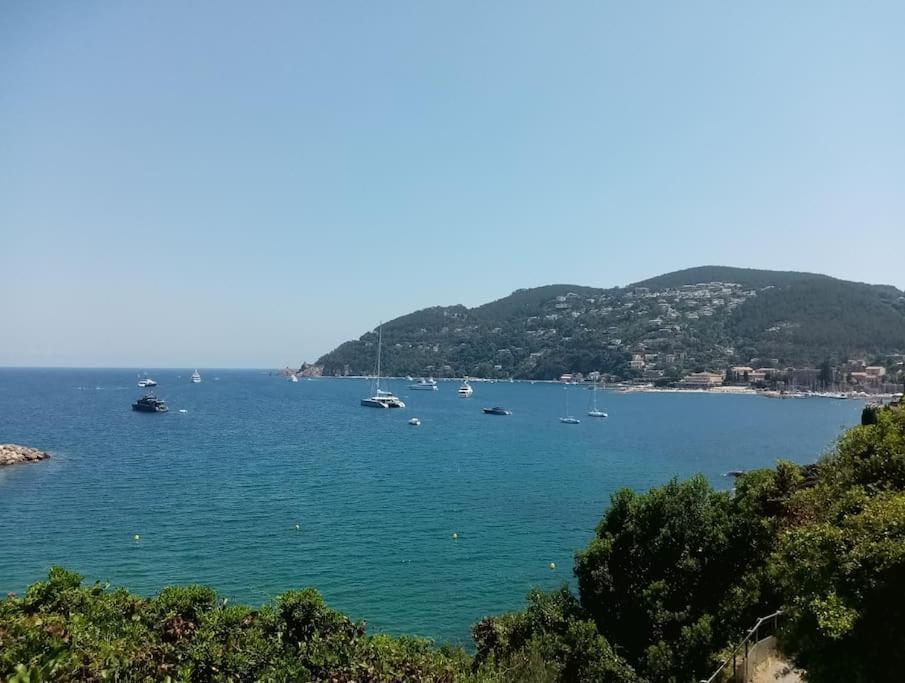 2 Pieces Climatise A 200M Des Plages Théoule-sur-Mer Exteriör bild